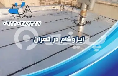 ایزوگام پاسارگاد
