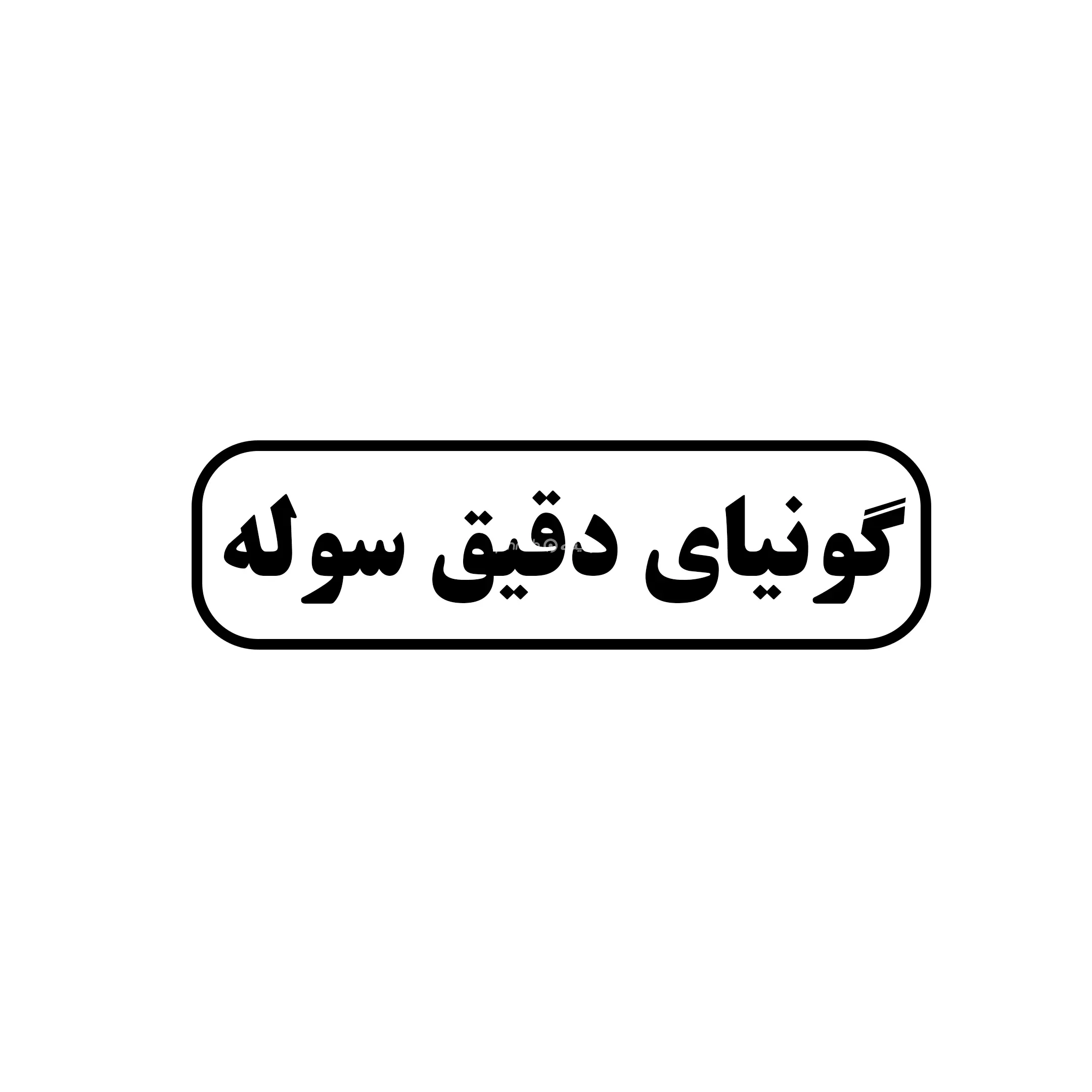 گونیای دقیق سوله 