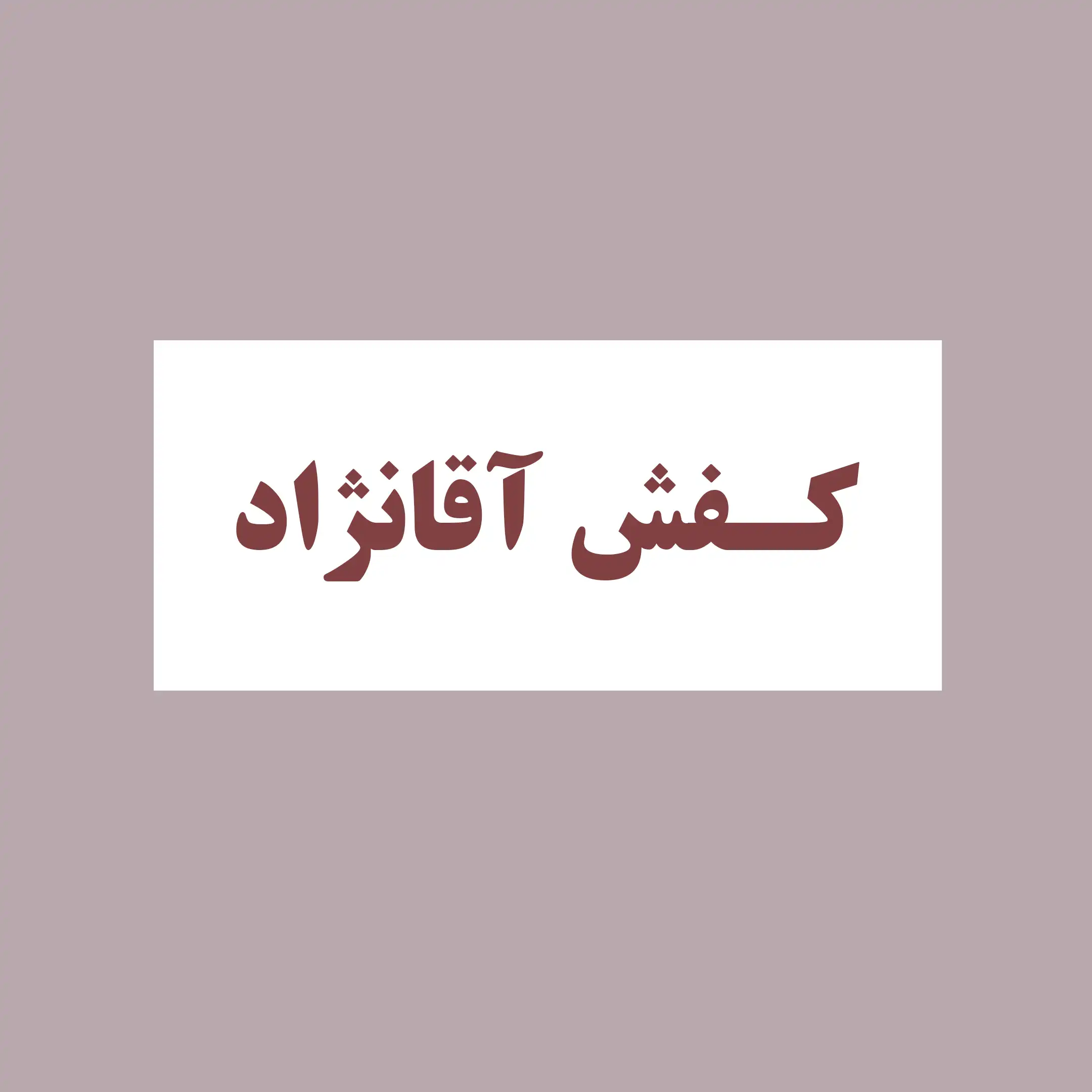 کفش آقا نژاد 