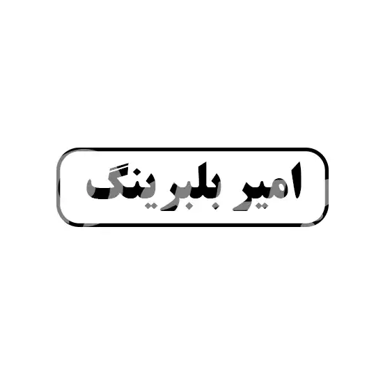 امیر بلبرینگ 