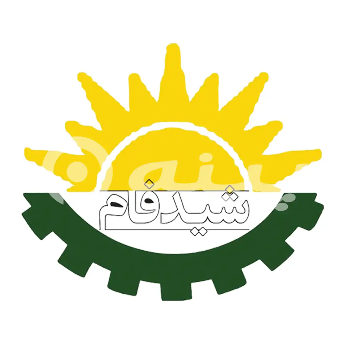 شید فام
