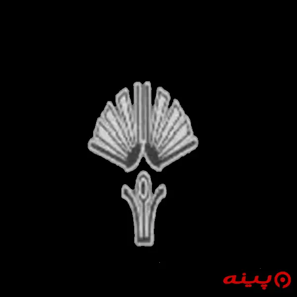 لوگو انتشارات هدف صالحین