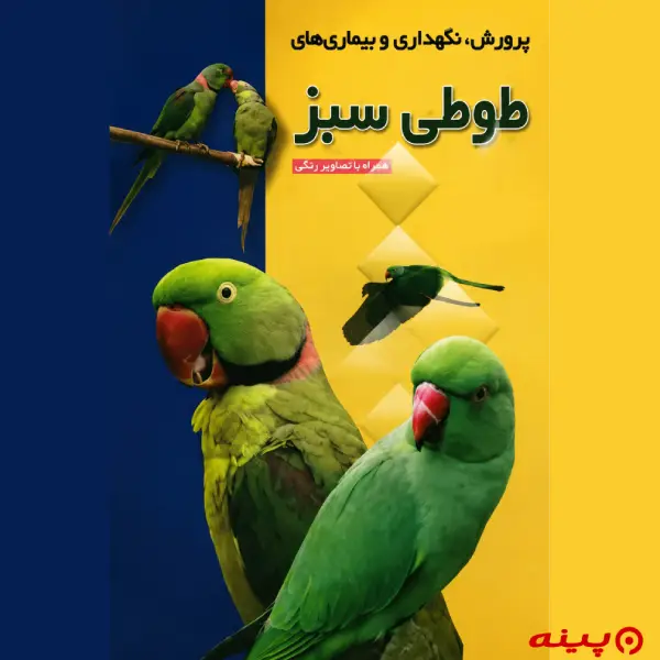 لوگو انتشارات نیلوبرگ