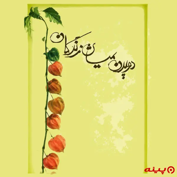لوگو انتشارات نیلوفر سپید