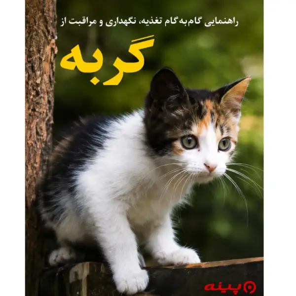 لوگو انتشارات قمریان