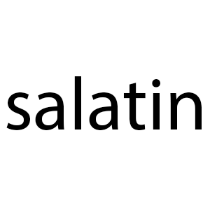 باشگاه سلاطین