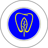 فروردین