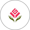 رایگان