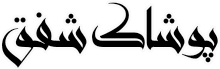 شفق