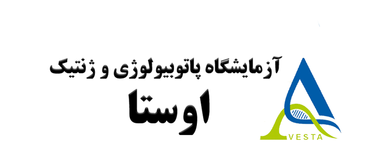 اوستا